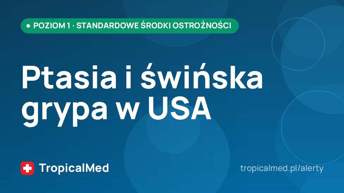 Ptasia i świńska grypa w USA